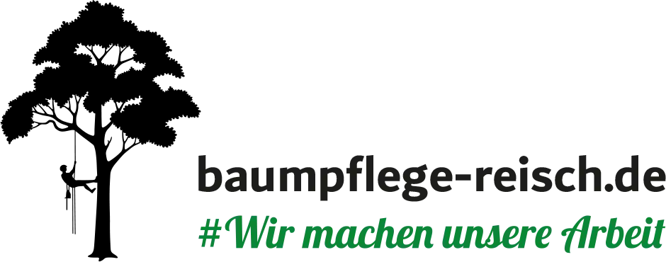 Baumpflege Reisch