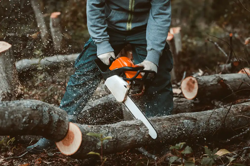 Holz zerkleinern Holz zerkleinern