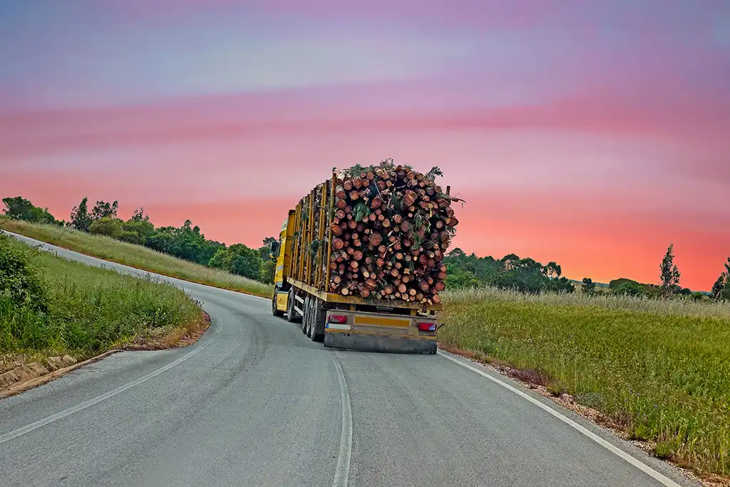 Termingerechter Holztransport Termingerechter Holztransport